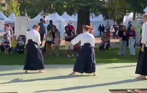 aibudo dao ryu1